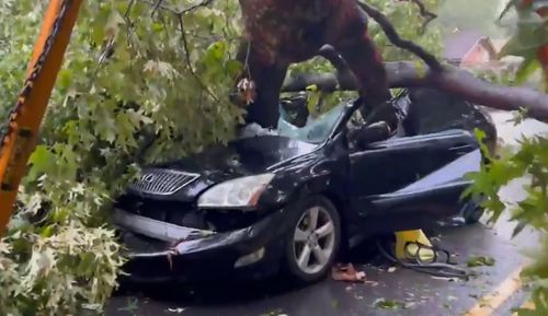 Tree Crushes Car In Atlanta, Woman Rescued Taken To The Hospital