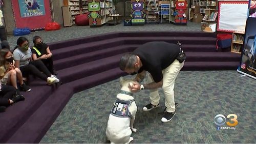 Superhero Therapy Dog ‘cole The Deaf Dog’ Helping Students Overcome So Much