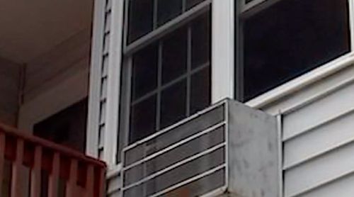 Family Cat Killed By Stray Bullet Through Window