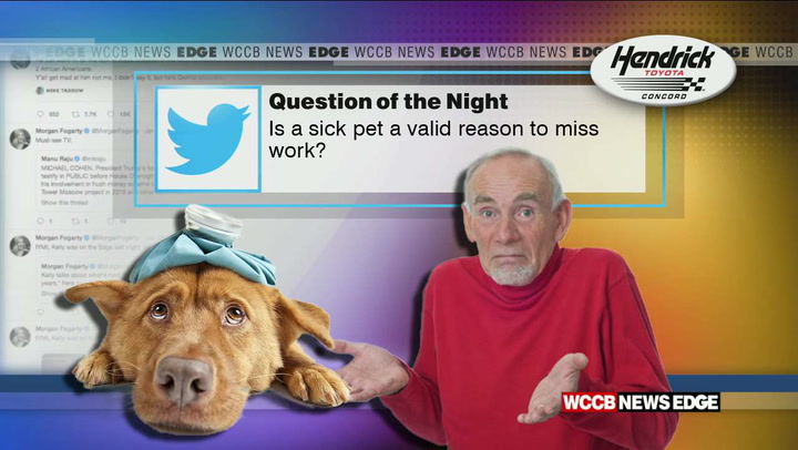 Do You Take Sick Days To Care For Ill Pets?