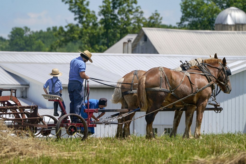 Amish Put Faith In God’s Will, Herd Immunity Over Vaccine