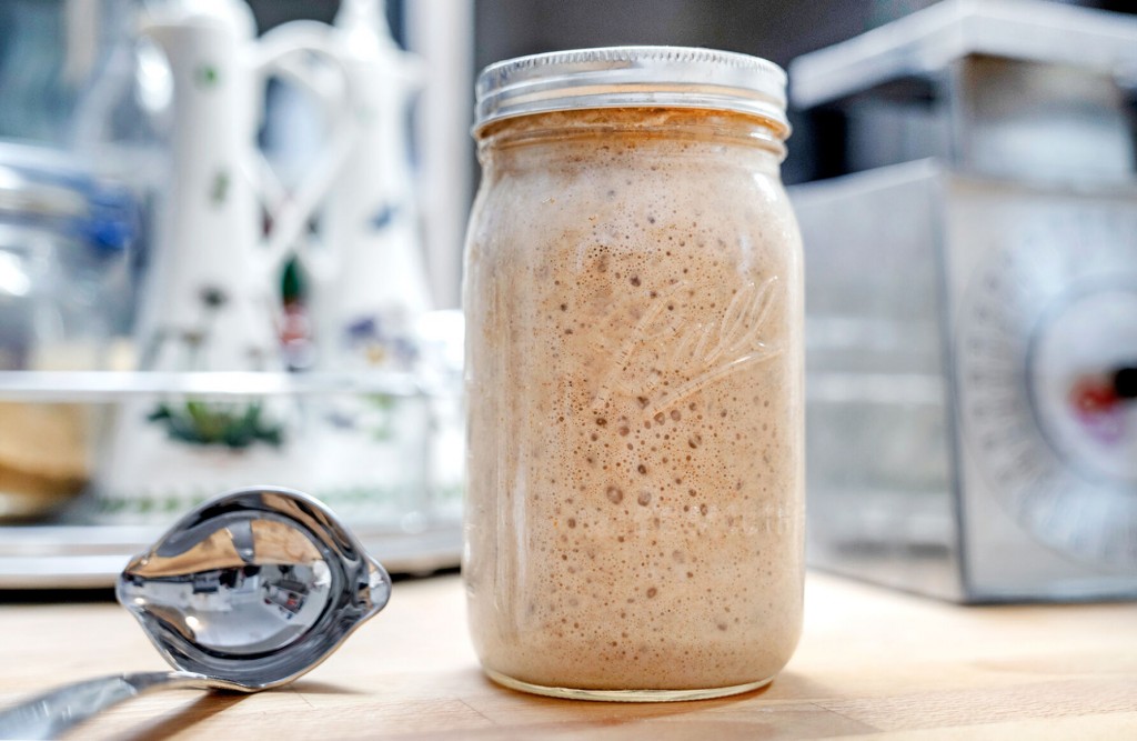 Ready, Set, Start — What’s A Sourdough Starter, Anyway?