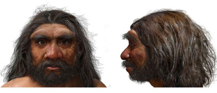 ‘dragon Man’ Skull Found In China May Add Species To Human Family Tree