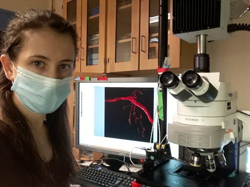 Mit Professor Buying A Grad Student And New Mother A Crib To Keep In The Lab Highlights Pandemic’s Toll On Working Moms