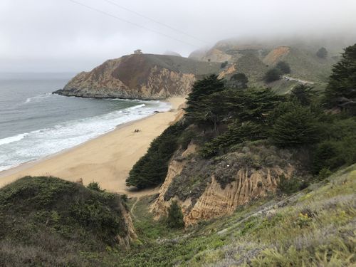 Man Hospitalized In Serious Condition After Shark Bite In Northern California