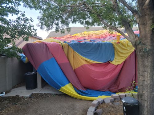 Police Identify All 5 People Killed In A Hot Air Balloon Crash In New Mexico