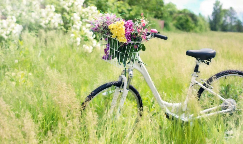 This is the alternative text for Spring Image 5