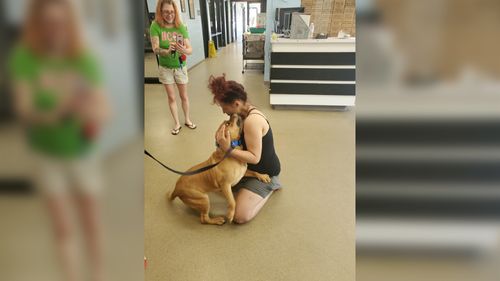 A Woman Was Looking To Adopt A New Pet. Then She Found The Dog She Lost Two Years Ago