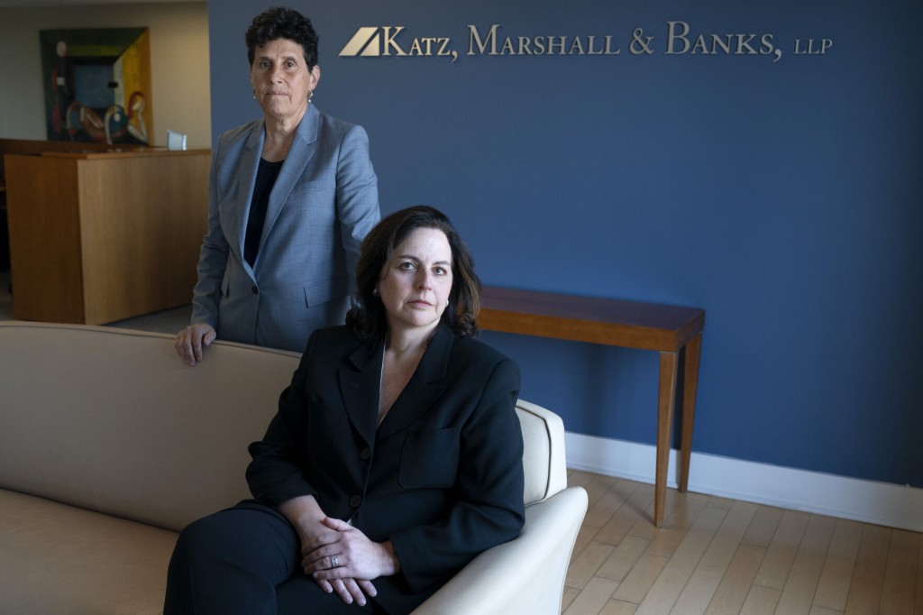 For Top #metoo Legal Duo, A Pandemic Year Brings No Pause