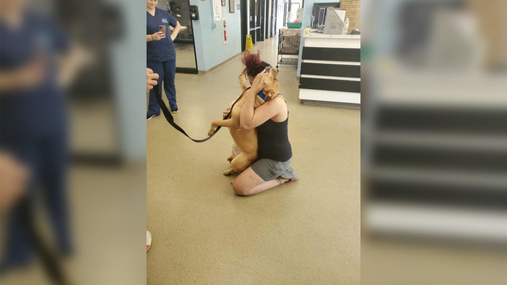 A Pennsylvania Woman Was Looking To Adopt A New Pet. Then She Found The Dog She Lost Two Years Ago.