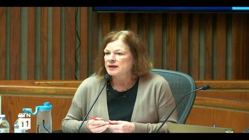 Raleigh Joins Durham In Passing Ordinance Banning Hairstyle Discrimination