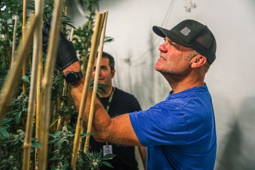One Of The Biggest Names In Craft Beer Is Hopping Over To The Cannabis Business