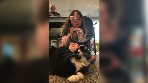 Meet Truffles, The Special Kitty Who Wears Glasses To Help Kids Feel Better About Wearing Theirs