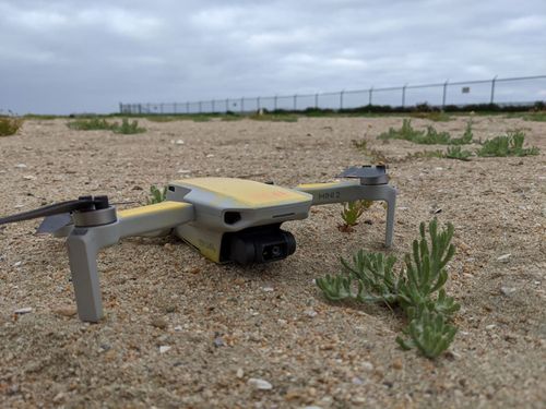 $5,000 Reward Offered In Drone Crash That Scared Off Elegant Terns, Left 1,500 Eggs Abandoned At Huntington Beach Reserve