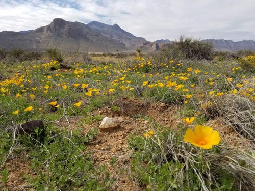 7 Heritage Sites With Deep Cultural And Historical Roots To Latinos Are In Need Of Preservation, Group Says