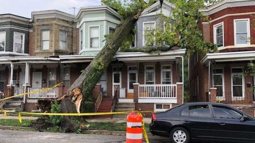 Crews Rescue 2 People After Tree Crashes Into Home In West Baltimore, Fire Union Says
