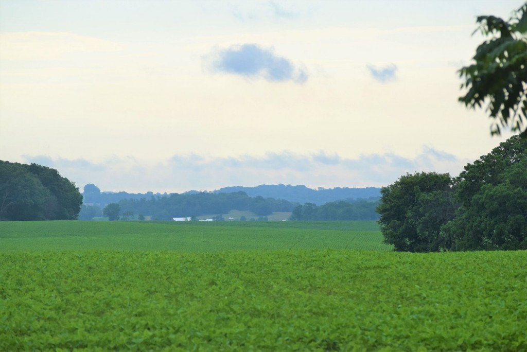 Second Possible Sasquatch Sighting Reported In Ashland County