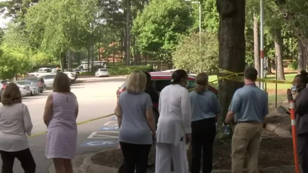 Bear In Raleigh: Cub Up Tree At Rex Hospital Is Scared, Will Likely Leave When Sun Sets, Expert Says