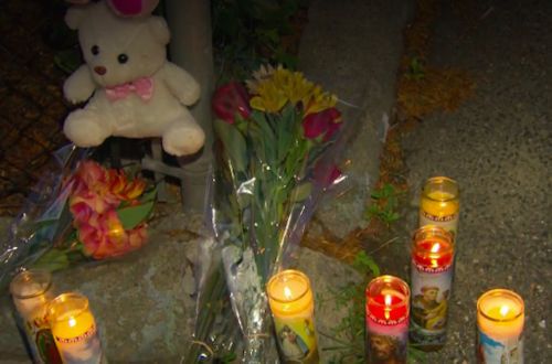Witnesses React After Delivery Truck Strikes, Kills Toddler