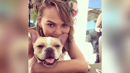 Chrissy Teigen Mourns Death Of Her Beloved Dog Pippa