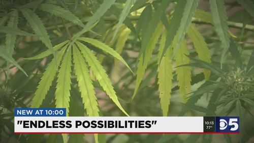 Hemp Industry Looks To Fibers For Potential Cash Crop