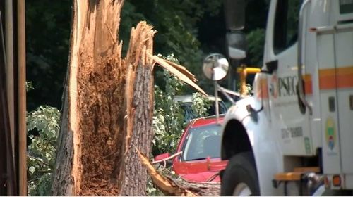 Cleanup Underway After Severe Storms, Winds Down Trees, Power Lines Across Tri State