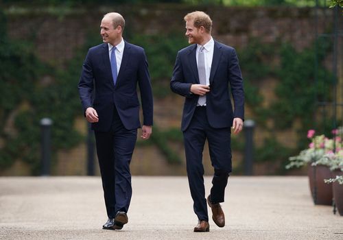 William And Harry Reunite At Diana Statue Unveiling