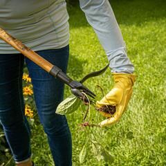Top 10 Garden Tools For Tough Gardening Problems
