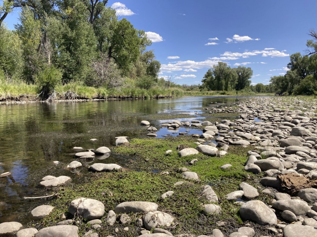 Prized Trout Streams Shrink As Heat, Drought Grip Us West