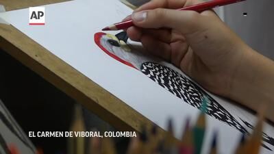 Colombian Teen Draws, Donates Bird Guide To Raise Awareness