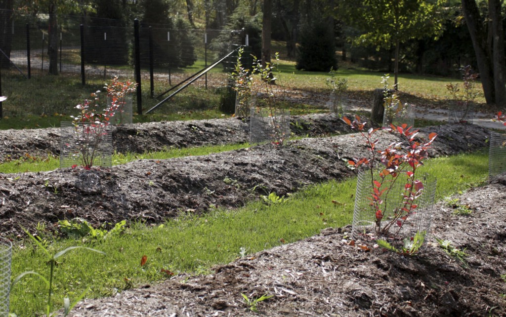 What To Do When Your Garden Soil Stays Too Wet