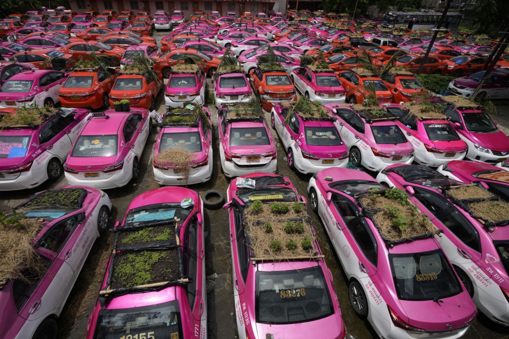 Idled Thai Taxis Go Green With Mini Gardens On Car Roofs