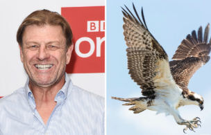 Sean Bean To Narrate Osprey Raptor Wildlife Documentary For Pbs