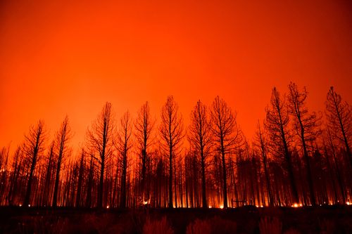 Northern Hemisphere’s Summer Of Wildfires Let Off Record Breaking Carbon Emissions