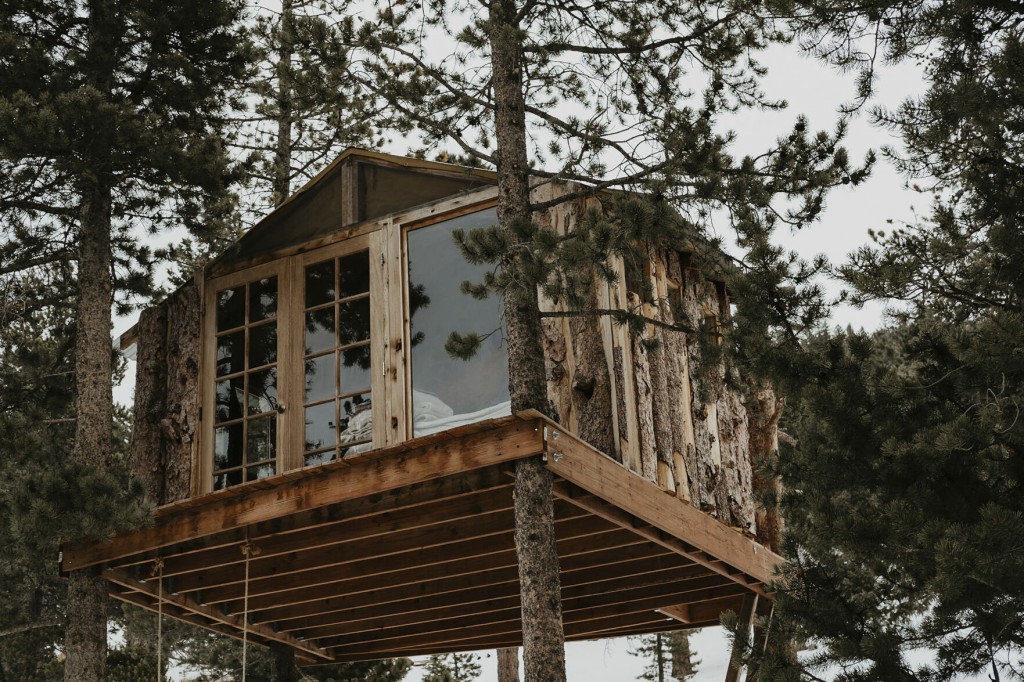 Nature Meets Nostalgia: Treehouses Return In Style