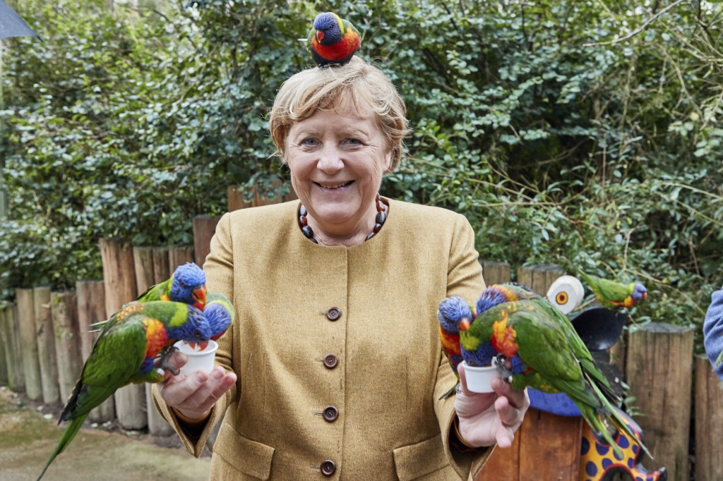 What A Cracker! Merkel Pecked By Parrot