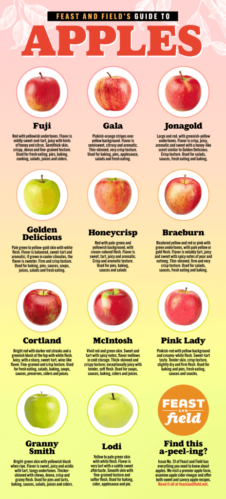 Magnificent Or Mealy: Which Apple Should You Pick?