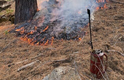 Moving Beyond America’s War On Wildfire: 4 Ways To Avoid Future Megafires