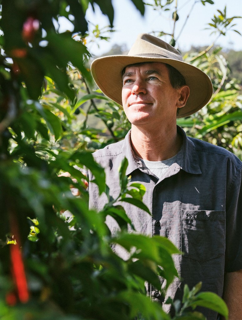 Move Over, Hawaii: California Is Revolutionizing Coffee In The Us