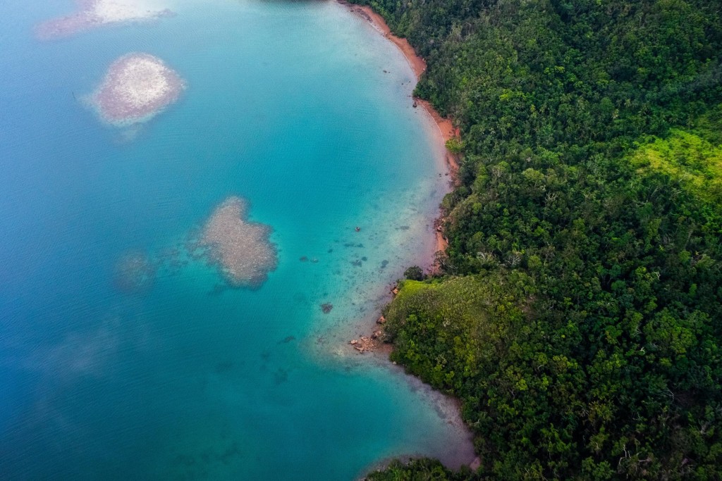 Scientists Looked At More Than 100,000 Studies And Found The World Has A Giant Climate Crisis Blind Spot