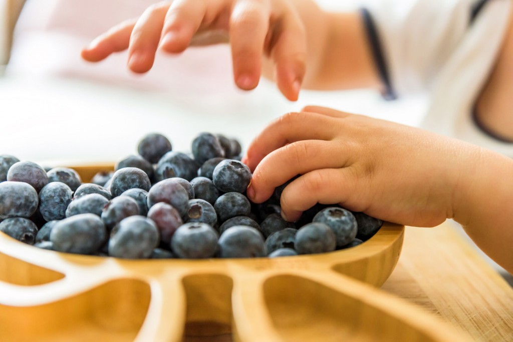 Here’s How Much Fruit, Vegetables And Protein Children Need