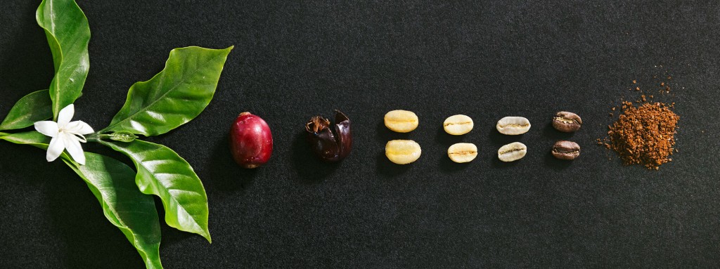 Coffee Talk: Get To Know The Beans And The Brews