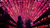 Watch Now: 7,000 Carved Pumpkins Create Fantastical Display In New York
