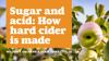 Video: Watch How Hard Cider Is Made