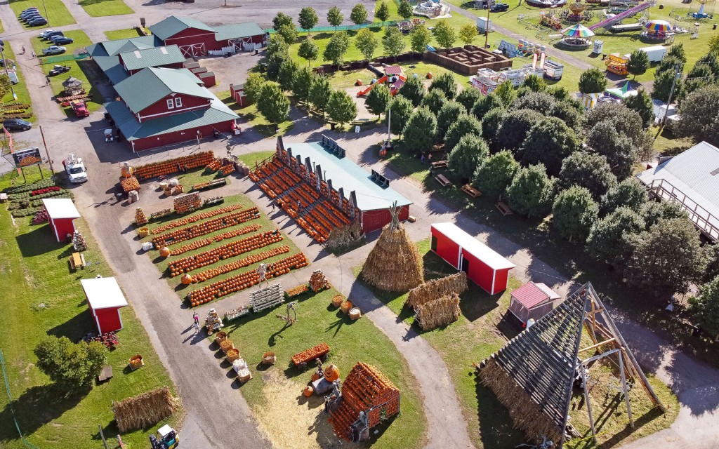 Step Inside One Of The Country’s Biggest Pumpkin Farms