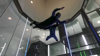 Watch Now: Visually Impaired Thrill Seekers Go On Skydiving Adventure In Barcelona