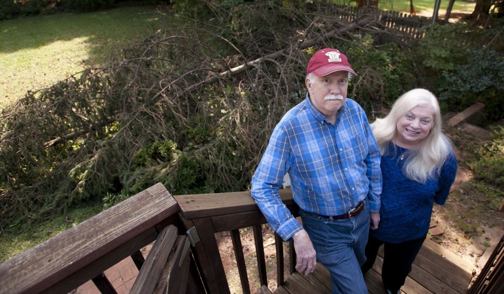Rogue Tree Cutter? Winston Salem Residents Worry Someone With A Chainsaw Is Being Vindictive.