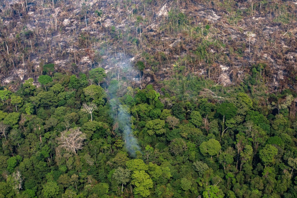 More Than 12 Million Global Deaths Are Associated With Environmental Risks Every Year, Pan American Health Official Says