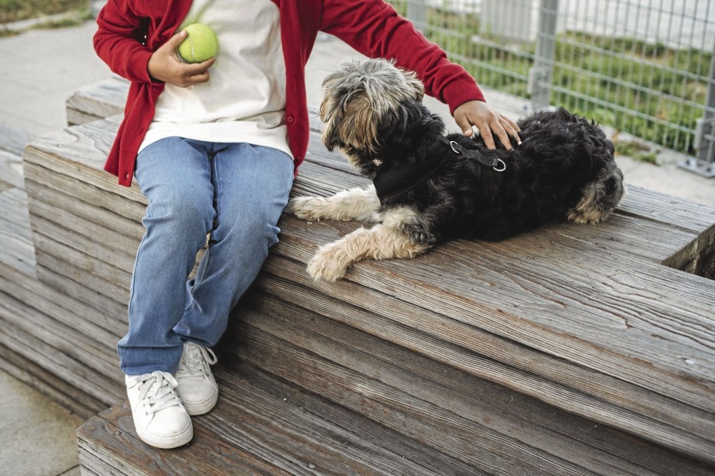 How Old Should Kids Be Before Family Adopts A Pet? Here’s What To Know
