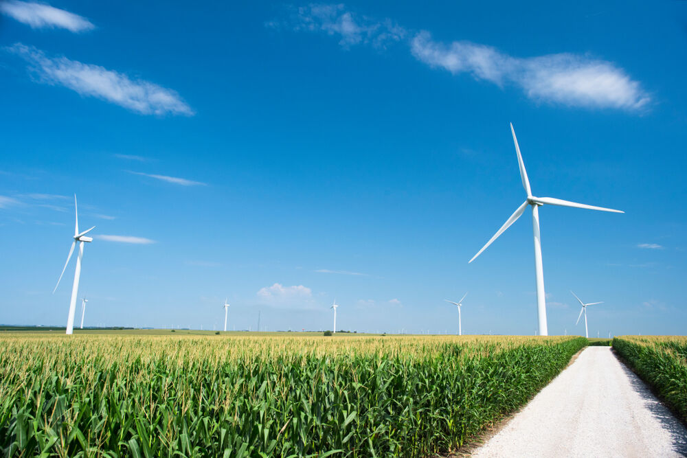 A Quick Guide To Climate Change Jargon: What Experts Mean By Mitigation, Carbon Neutral And 6 Other Key Terms